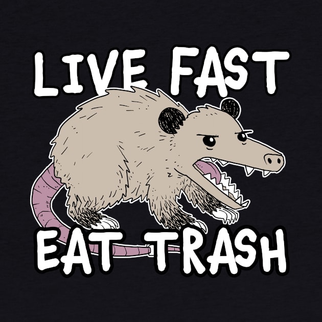 Live Fast Eat Trash Funny Possum Design by narekmug